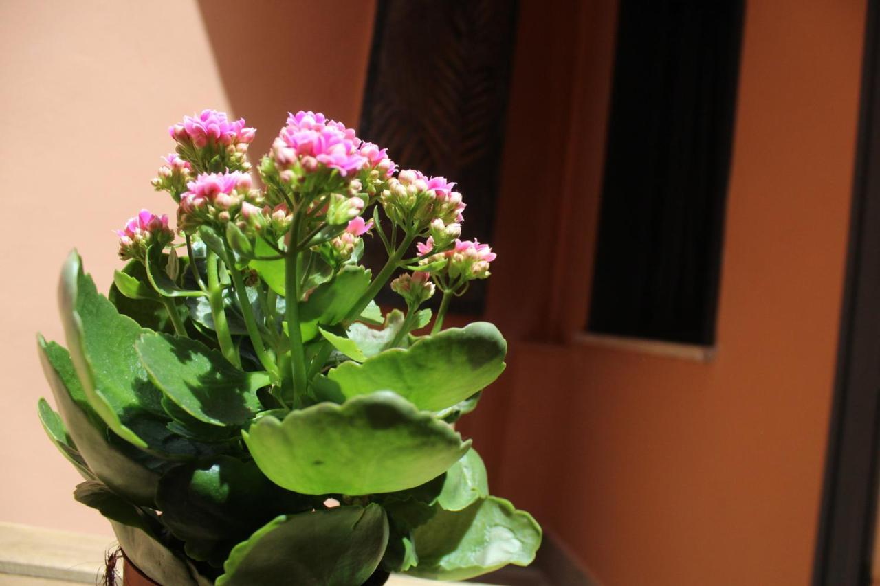 Lion Luxury Rooms Roma Dış mekan fotoğraf
